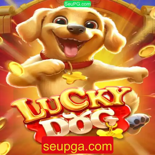 SeuPG.com Casino App